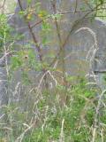 image number P1030535